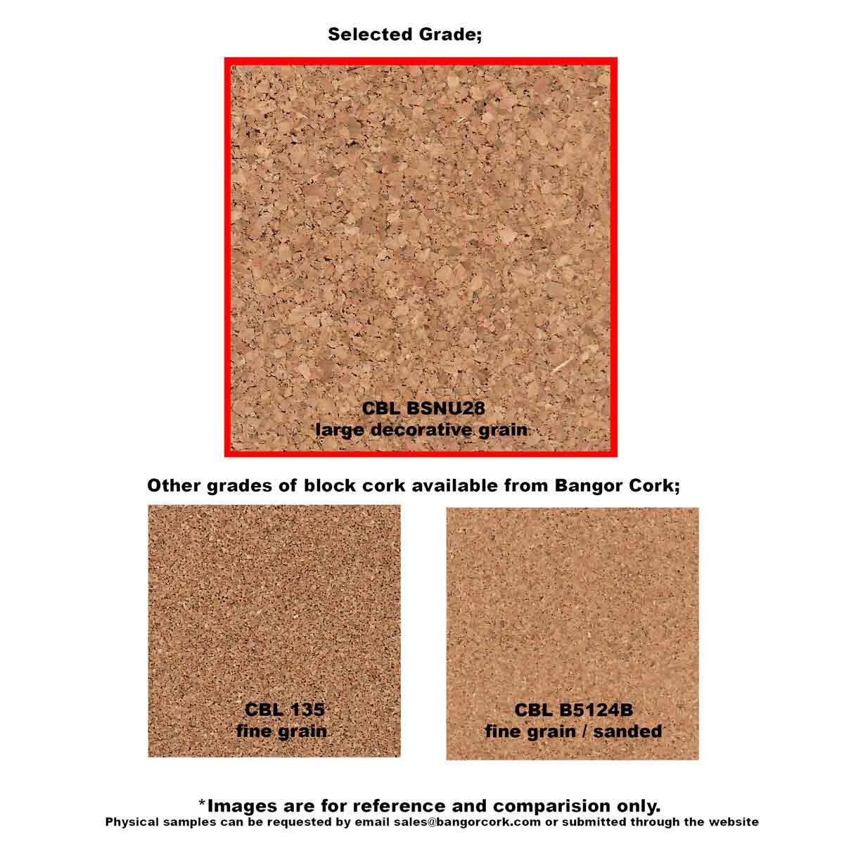 BSNU28 1" comparison image